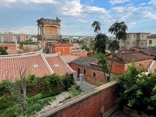 梧林南洋夢 起大厝與實(shí)業(yè)報(bào)國的家國情懷